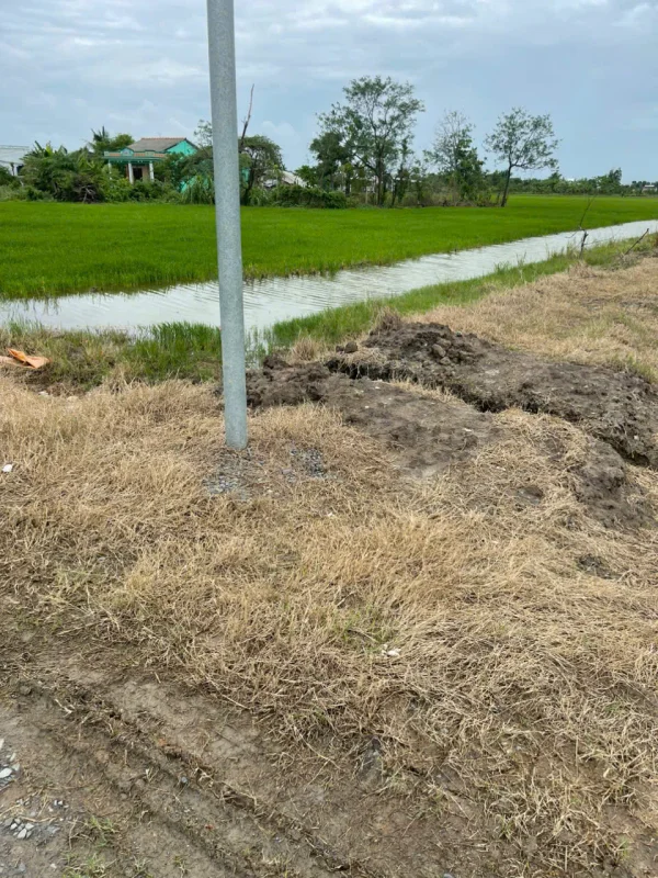 Cần bán 3.500m² đất lúa tại xã Long Hựu Đông, Cần Đước, Long An – Giá chỉ 350 triệu