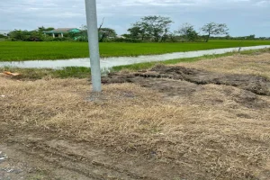 Cần bán 3.500m² đất lúa tại xã Long Hựu Đông, Cần Đước, Long An – Giá chỉ 350 triệu